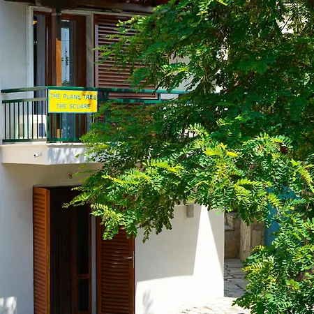 The Square شقة Maries (Thasos)